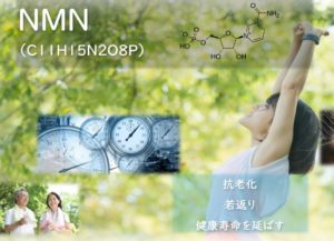 絆　製品