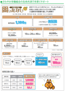 wis さわやか共済 MLM ネットワークビジネス 会社 報酬プラン